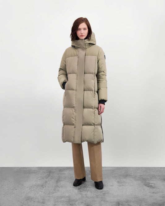 Hover image for Bungee Cord