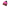 flat-lay-image Festival Fuschia