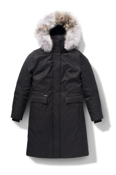 Zenithcoyote_2b3e64fb-c352-